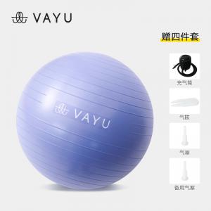 V1003 瑜伽球淡紫-55cm