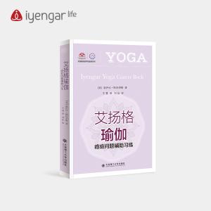 B1187艾扬格瑜伽 癌症问题辅助习练