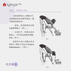 B1191 椅子瑜伽习练指南 （新版）