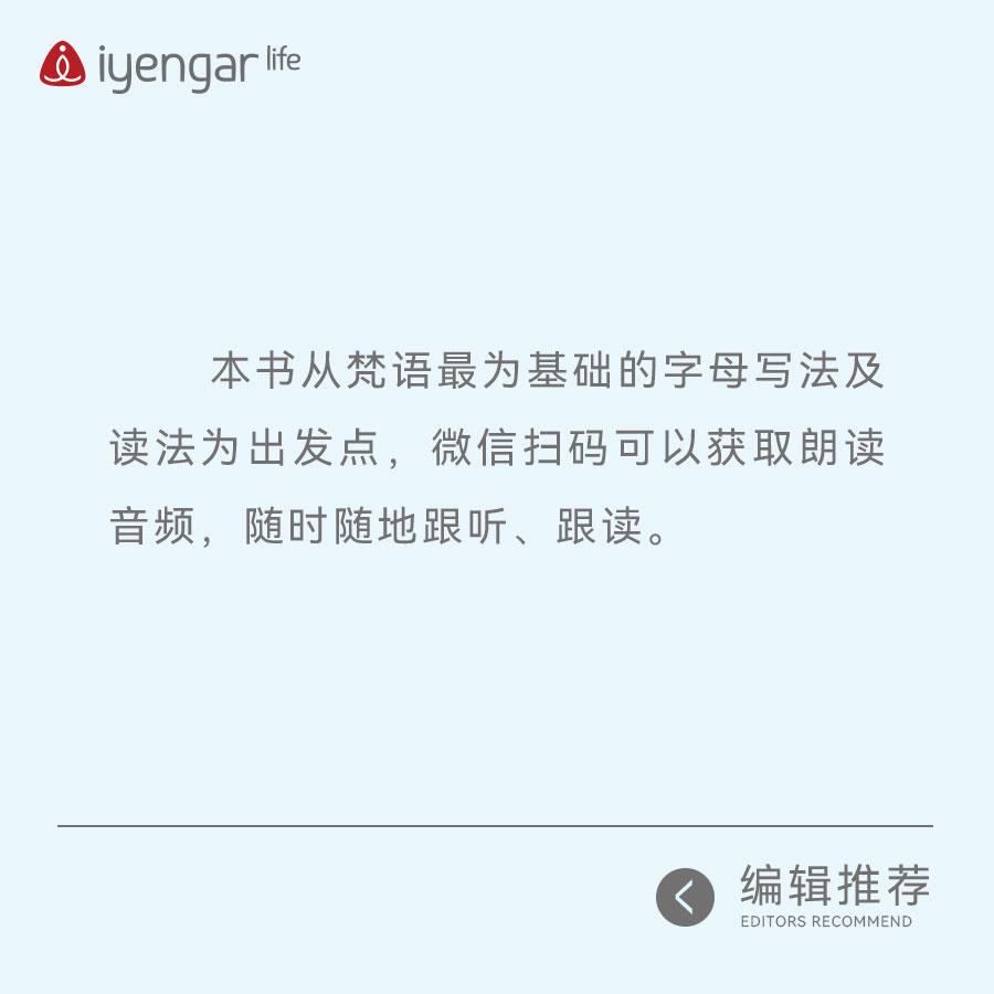 深入解读字母哥NBA录像