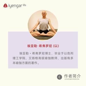 B1192 辅具瑜伽习练指南Ⅰ（新版）