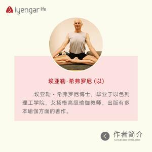 B1193 辅具瑜伽习练指南Ⅱ（新版）