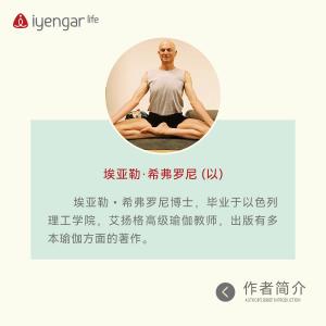 B1194 辅具瑜伽习练指南Ⅲ（新版）