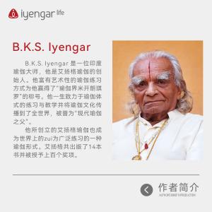 B1200《瑜伽之光》