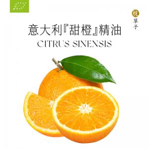 枕草子W1040 甜橙单方精油5ml（西藏，新疆运费 25 元/黑龙江省, 吉林省, 辽宁省, 内蒙古，宁夏，青海15 元 这些地区请联系客服补运费）