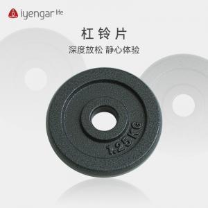 FJZH10021迷你杠铃片+小圆垫