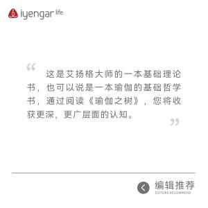 B1201瑜伽之树 第3版 [印]B.K.S.艾扬格 著 瑜伽界泰斗的经典著作
