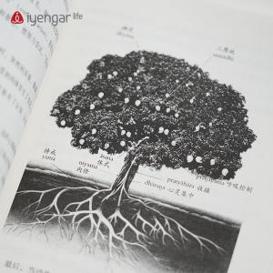 B1201瑜伽之树 第3版 [印]B.K.S.艾扬格 著 瑜伽界泰斗的经典著作