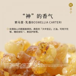 枕草子 W1041乳香单方精油5ml（西藏，新疆运费 25 元/黑龙江省, 吉林省, 辽宁省, 内蒙古，宁夏，青海15 元 这些地区请联系客服补运费）