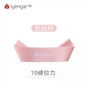 A3100硅胶弹力圈 凤仙粉（10磅）