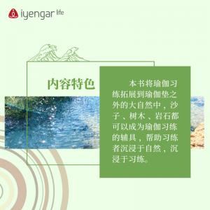 B1204 师法自然—瑜伽习练与探索  作者:(以)奥哈德·纳克汤米(以)埃亚勒·希弗罗尼