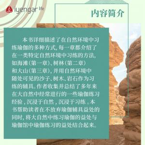B1204 师法自然—瑜伽习练与探索  作者:(以)奥哈德·纳克汤米(以)埃亚勒·希弗罗尼