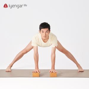 A1081 金标瑜伽砖榉木标准砖 AA级砖