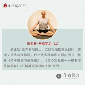 B1208 辅具瑜伽习练指南IV（后弯系列）